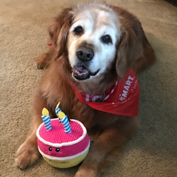 Hi ! My name is Maria Isabel .🌟🌟 - Picture 9 of 9